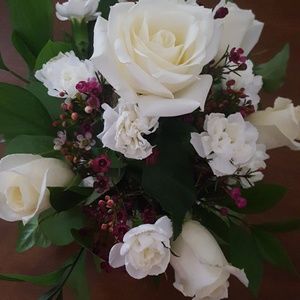 Meet your Posher, Bethany